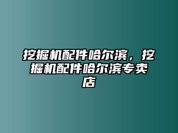 挖掘機(jī)配件哈爾濱，挖掘機(jī)配件哈爾濱專賣店