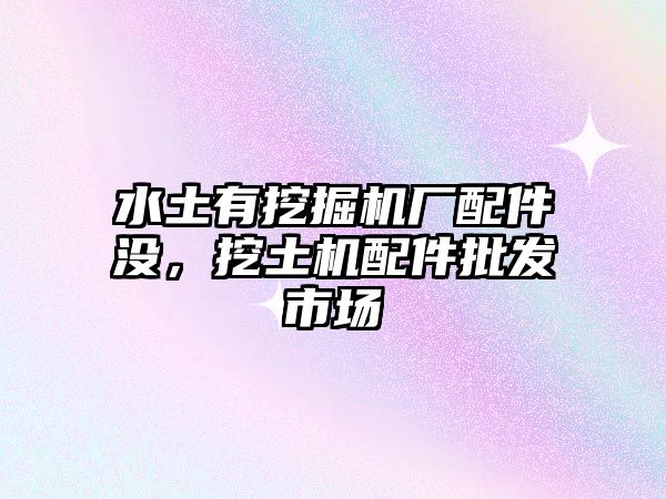 水土有挖掘機(jī)廠配件沒，挖土機(jī)配件批發(fā)市場