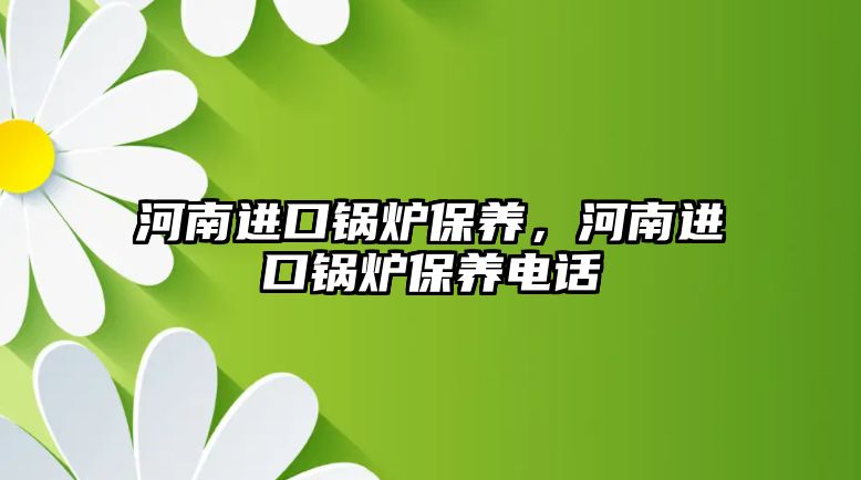 河南進(jìn)口鍋爐保養(yǎng)，河南進(jìn)口鍋爐保養(yǎng)電話