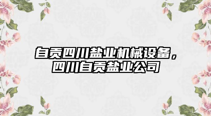 自貢四川鹽業(yè)機械設備，四川自貢鹽業(yè)公司